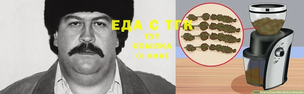 гидра Абаза