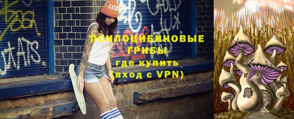 spice Алексин