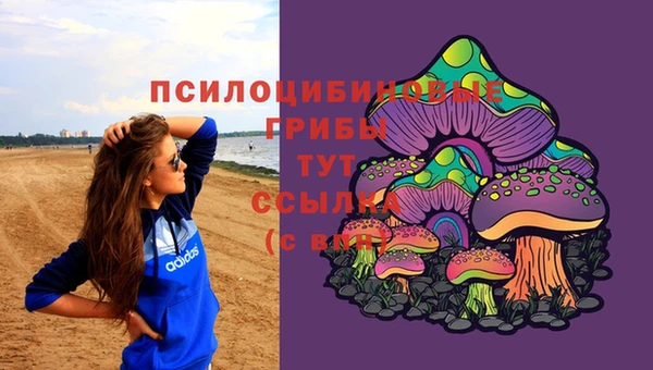 ГАЛЛЮЦИНОГЕННЫЕ ГРИБЫ Алзамай