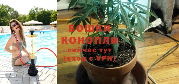 spice Алексин