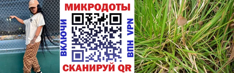 Псилоцибиновые грибы Psilocybine cubensis  Ермолино 